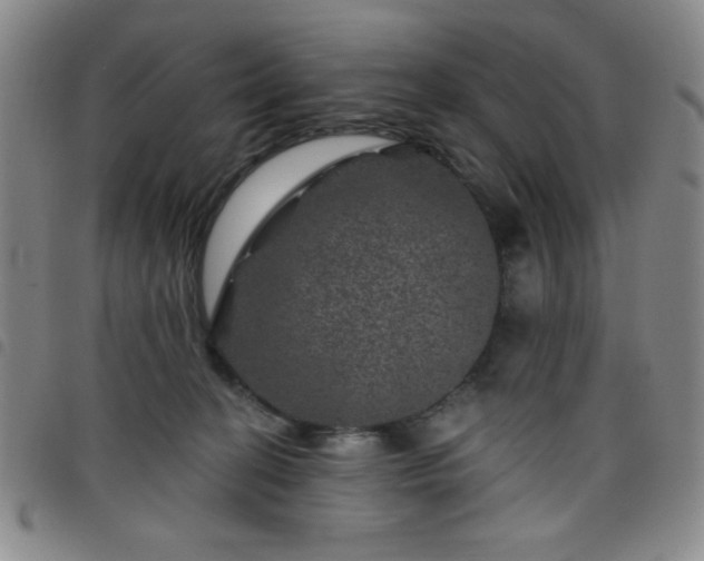 X0000098150274200804241747