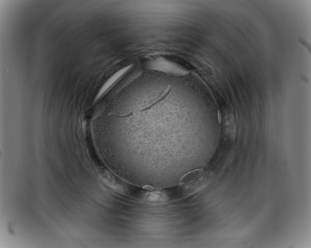 X0000098150275200804241747