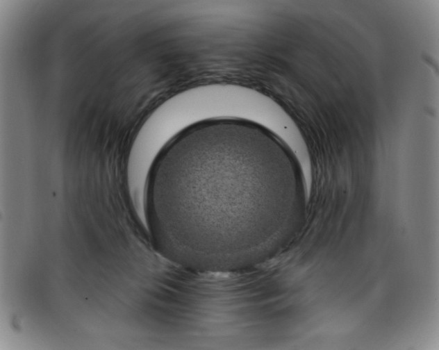 X0000098150276200804241747