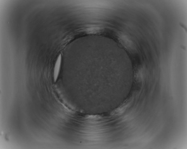 X0000098150277200804241747