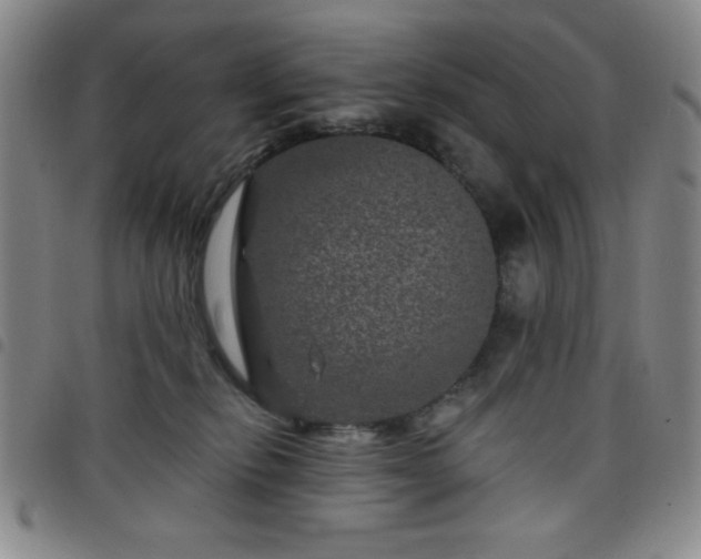 X0000098150278200804241747