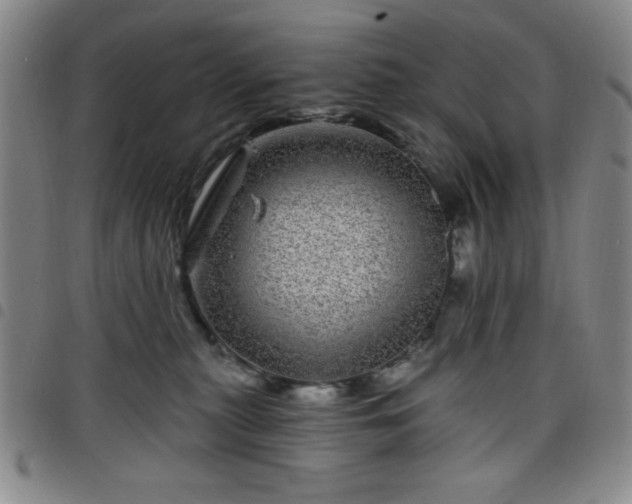 X0000098150279200804241747
