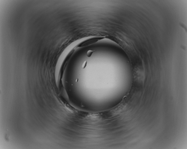 X0000098150280200804241747