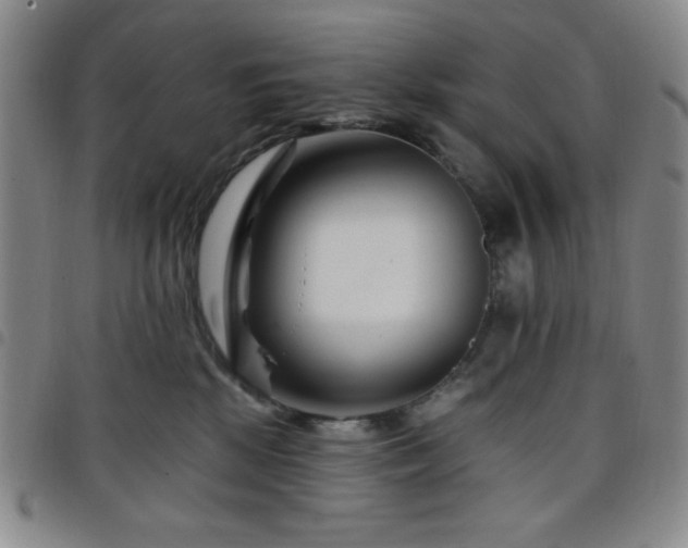 X0000098150281200804241747