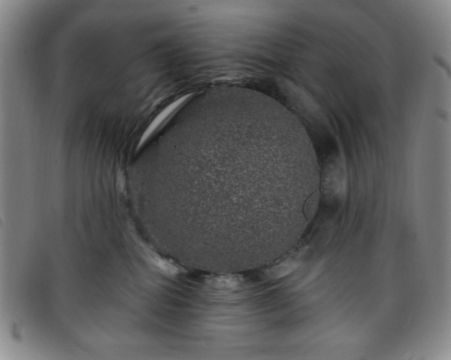 X0000098150282200804241747