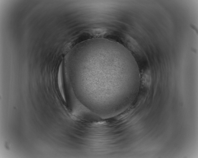 X0000098150283200804241747