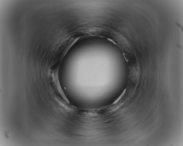 X0000098150284200804241747