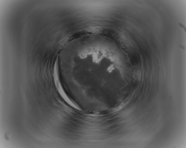 X0000098150285200804241747