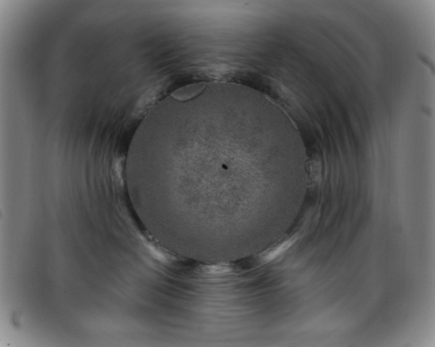 X0000098150286200804241747