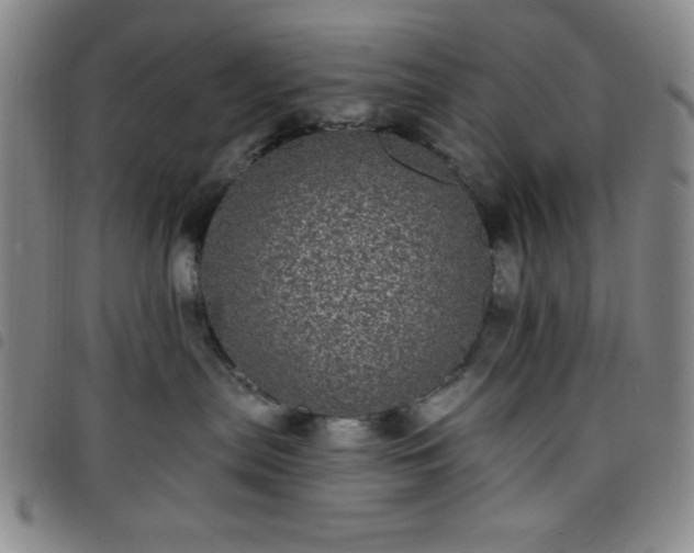 X0000098150287200804241747