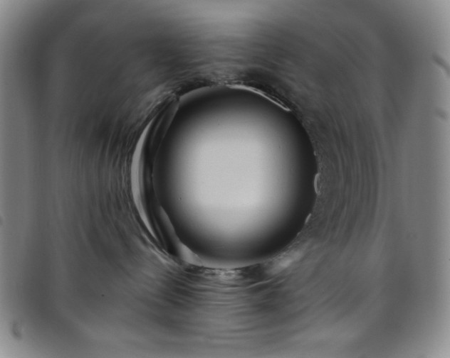 X0000098150288200804241747