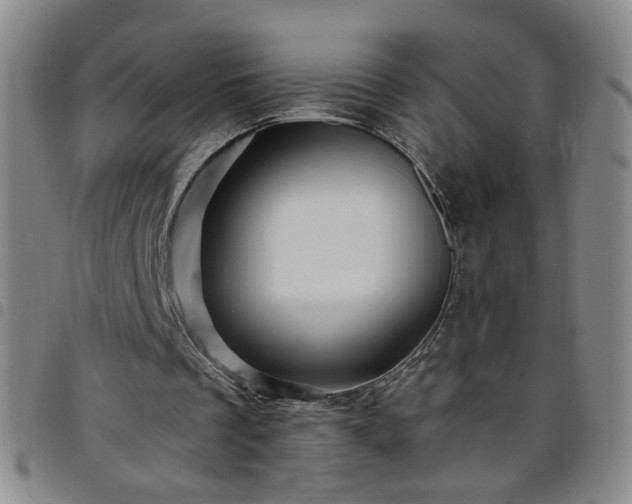 X0000098150289200804241746