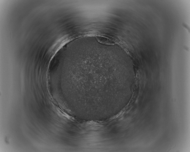 X0000098150290200804241746