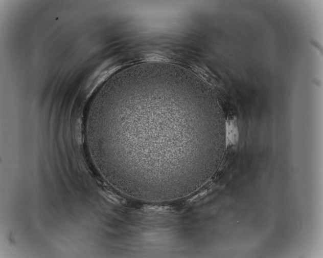 X0000098150291200804241746