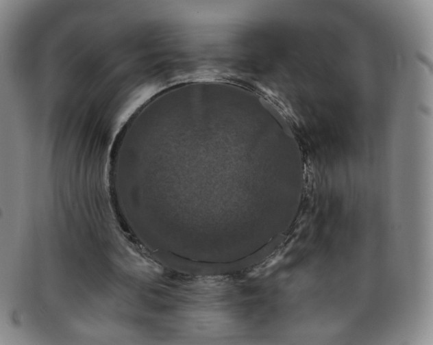 X0000098150292200804241746
