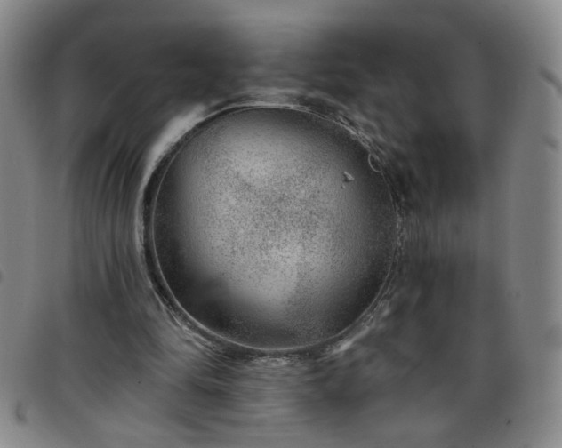 X0000098150294200804241746