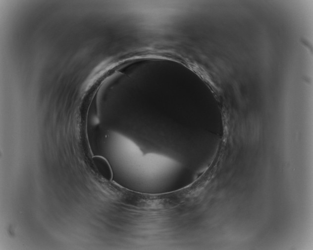 X0000098150295200804241746