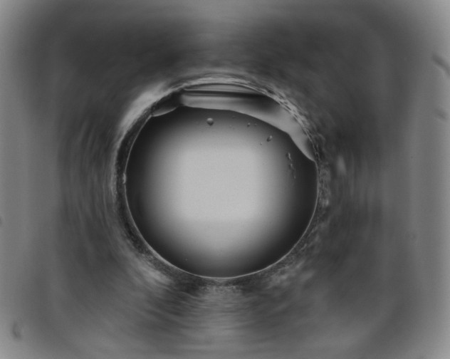 X0000098150296200804241746