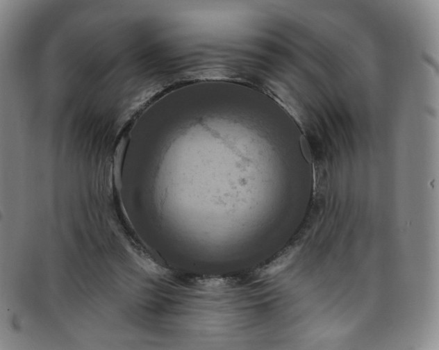 X0000098150301200804241746