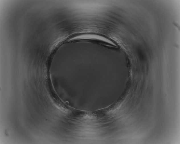 X0000098150303200804241746
