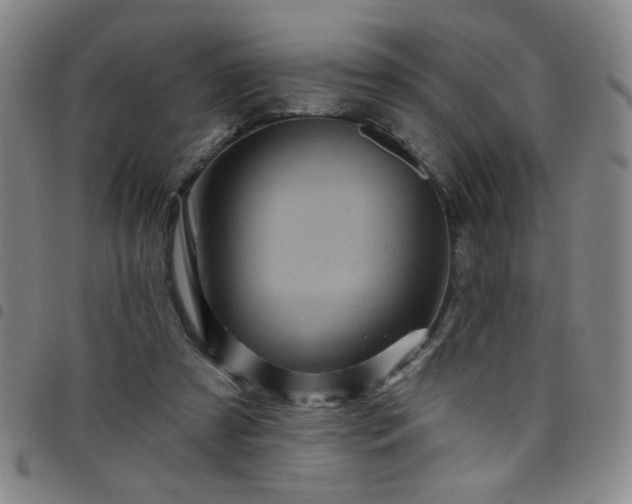 X0000098150305200804241746