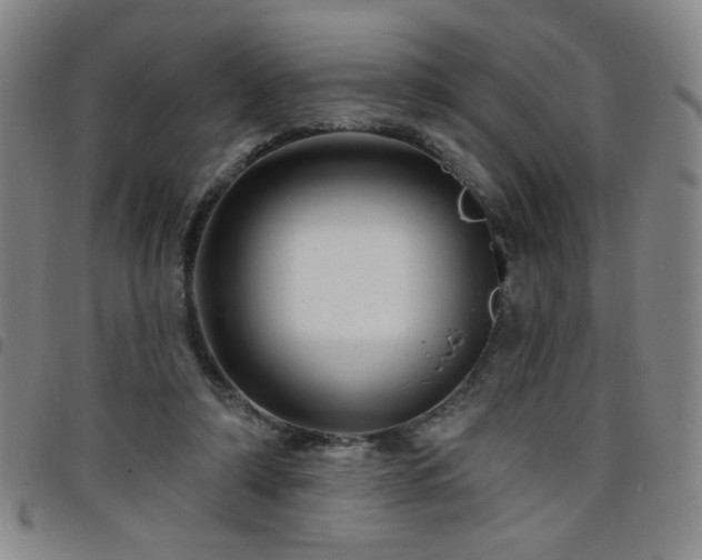 X0000098150306200804241746