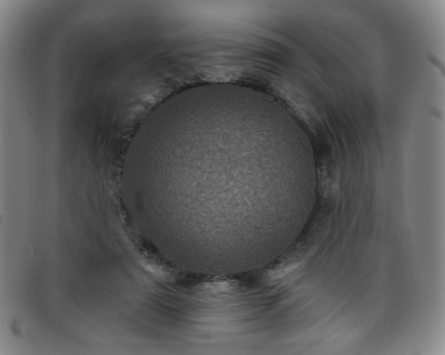 X0000098150307200804241746