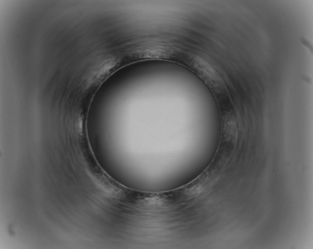 X0000098150310200804241746