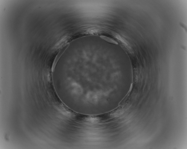 X0000098150313200804241746
