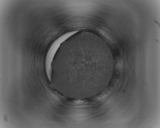 X0000098150315200804241746