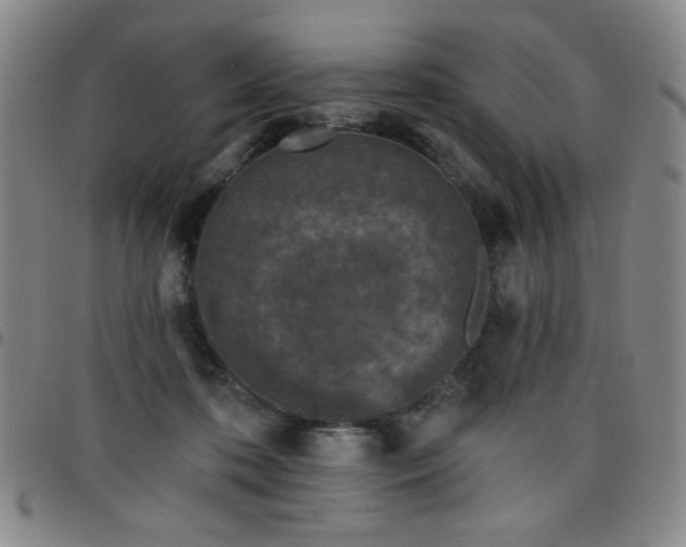 X0000098150316200804241746