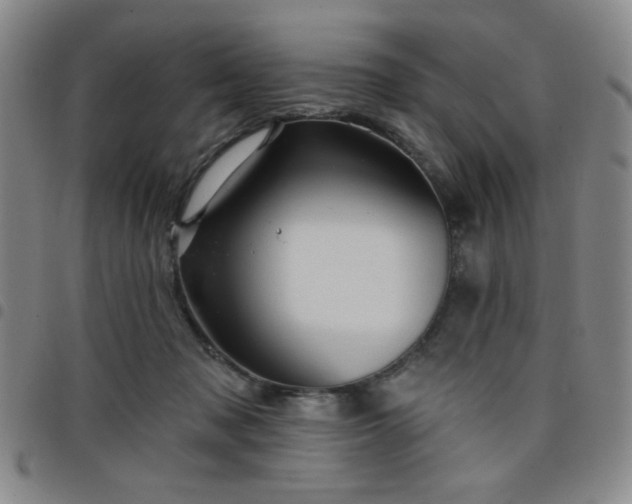 X0000098150317200804241746