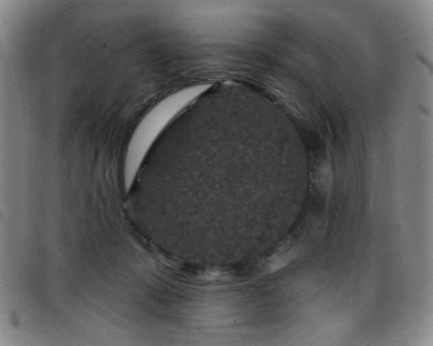 X0000098150319200804241746