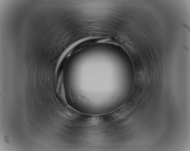 X0000098150320200804241746