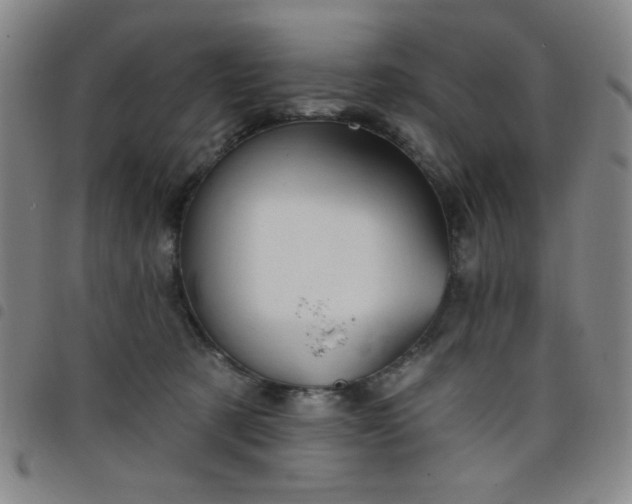 X0000098150321200804241746