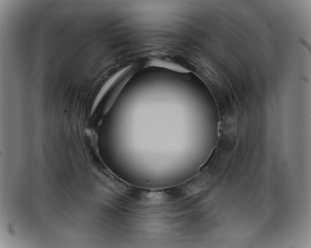 X0000098150324200804241746