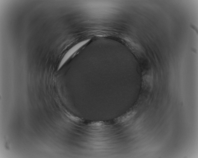 X0000098150325200804241746