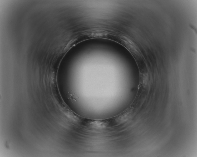 X0000098150326200804241746