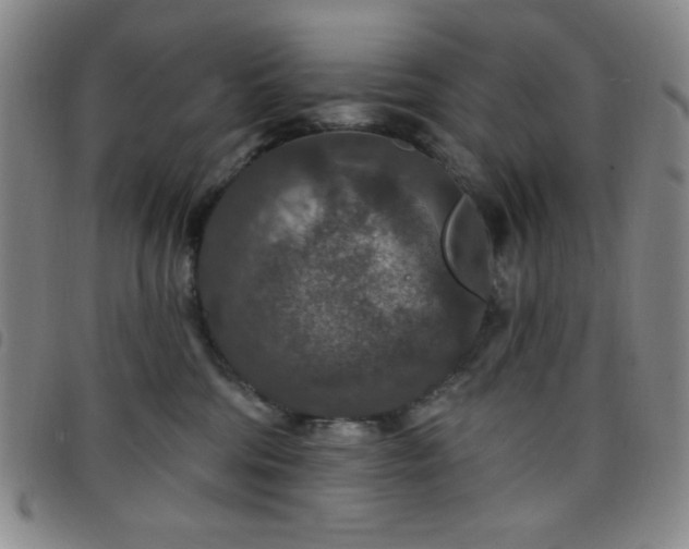 X0000098150330200804241746