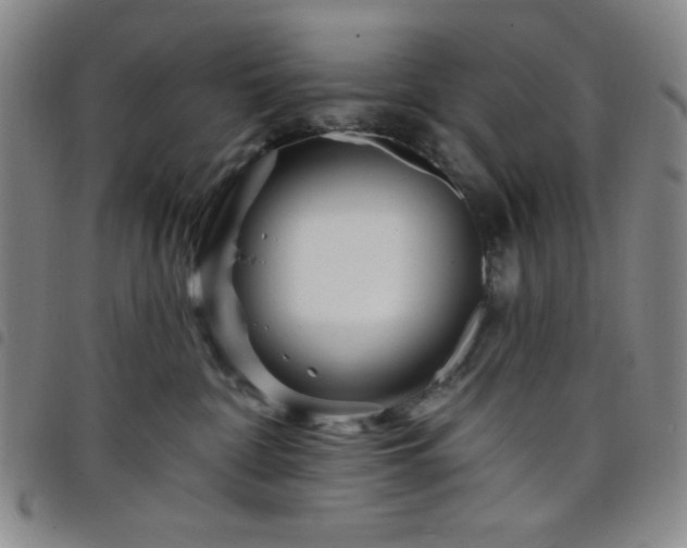 X0000098150332200804241746
