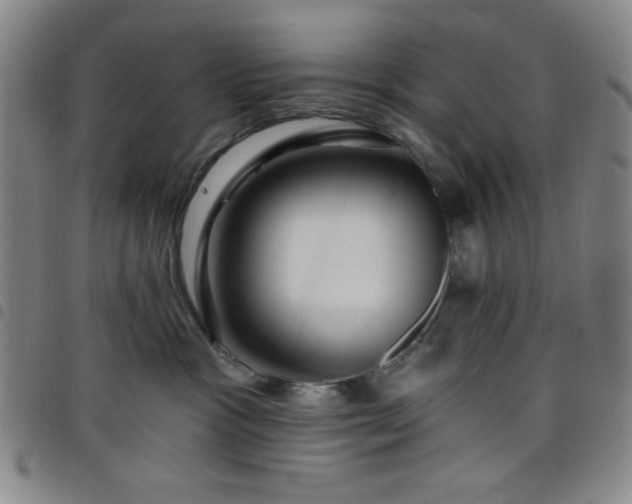 X0000098150333200804241746