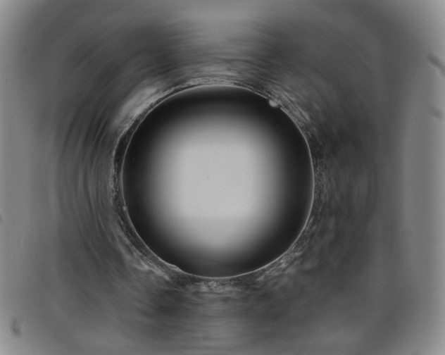 X0000098150338200804241745