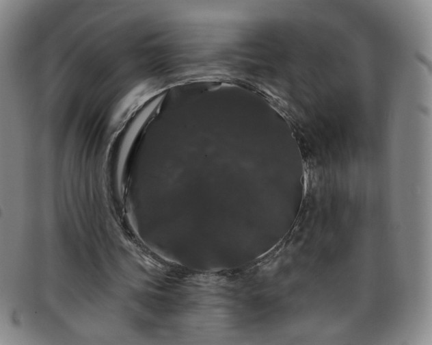 X0000098150339200804241745