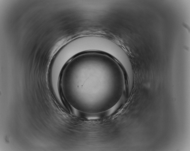 X0000098150340200804241745