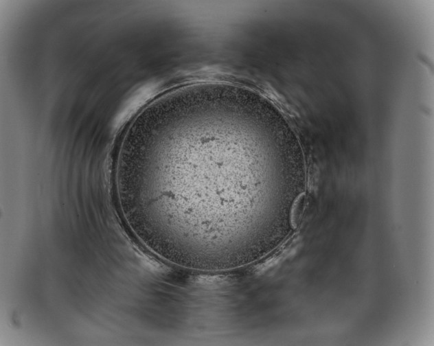 X0000098150341200804241745