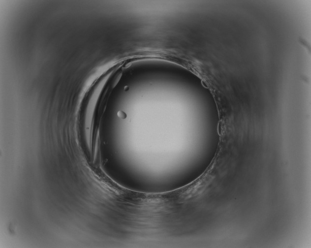 X0000098150342200804241745
