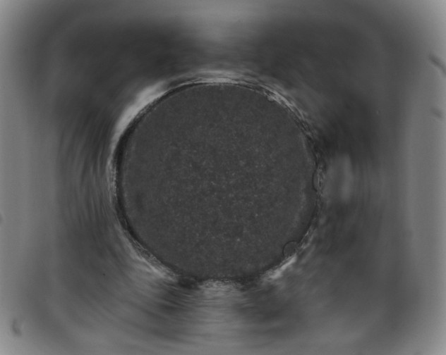 X0000098150343200804241745