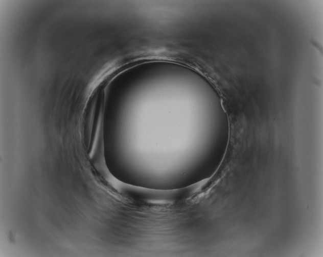 X0000098150344200804241745