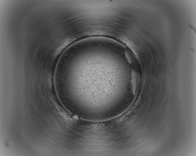 X0000098150345200804241745