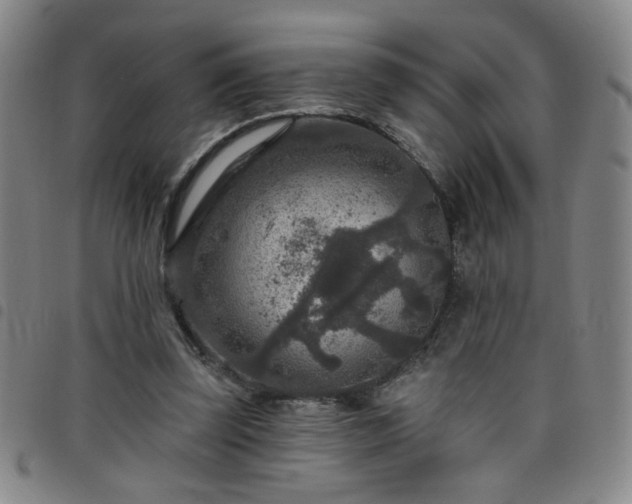 X0000098150347200804241745